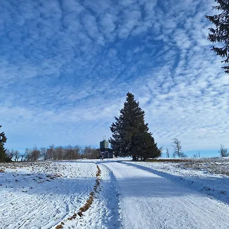 1000 Berge Kamin & Whirlpool 度假居 温特贝格