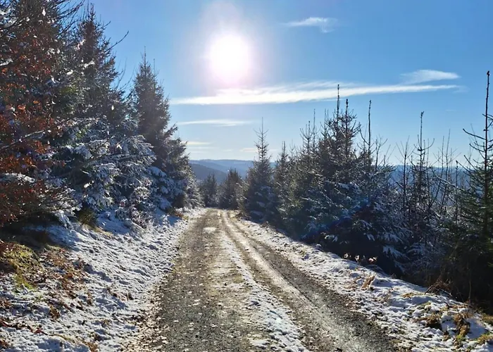 1000 Berge Kamin & Whirlpool Winterberg