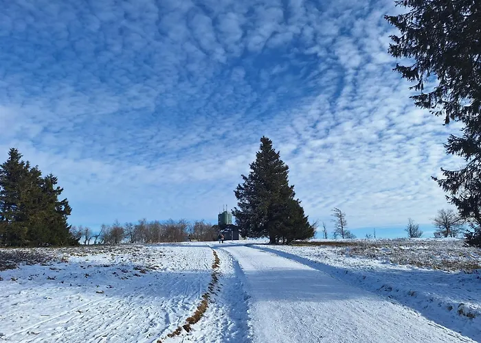 1000 Berge Kamin & Whirlpool 度假居 温特贝格
